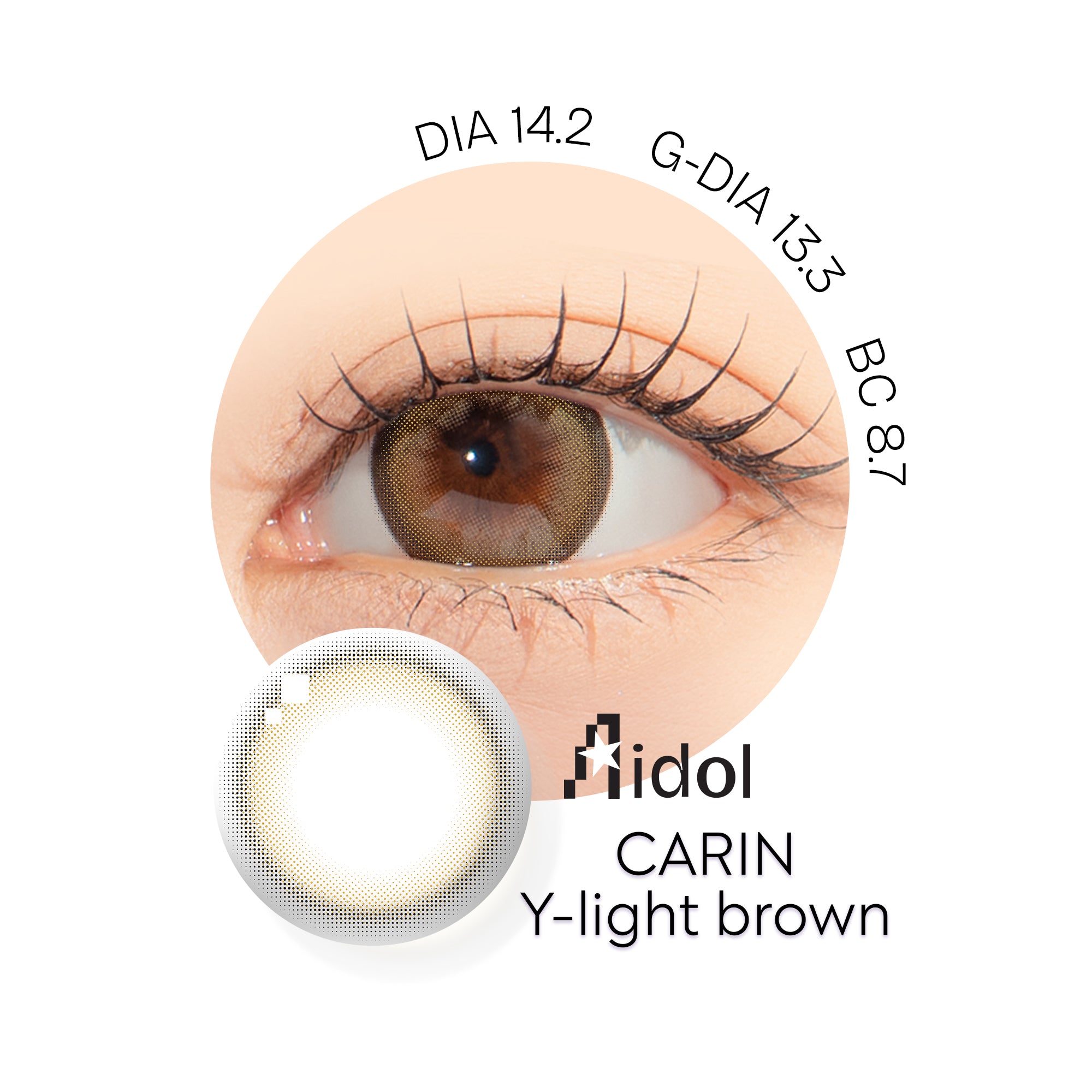 【ワンデー1箱10枚】Aidol Y-light brown.1day (ライトブラウン) ±0.00